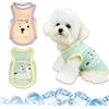 KASESSS 2 Pezzi Traspirante Gilet Rinfrescante Cani, Estate Ghiaccio Rete Gilet di Raffreddamento per Cani 2,5-3kg, M (Petto 40cm / Schiena 30cm) Cappotto Refrigerante Cane All'Aperto