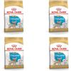 ROYAL CANIN Chihuahua Puppy | Crocchette per cuccioli | 4 x 500 g | Fino all'8° mese | Royal Canin | Alimento completo | Fabbisogno quotidiano in crescita | Crocchette adattate | Confezione da quattro
