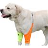 DONGKER Tutore Gomito per Cane,Protezione Gomiti per Cani Ginocchiere Anteriore per Cane di Piccolo Medio e Grande Dopo Uso Chirurgico e Lesione alla Gamba