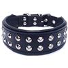 Bestia Boston Collare per cani in vera pelle. Con borchie e imbottitura morbida all'interno