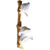 Hattba Appendiabiti a parete in resina a forma di uccellino, per appendere asciugamani e vestiti, accessori per la decorazione della casa