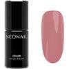 NÉONAIL UV Nagellack Smalto gel 7 ml Frozen Roses