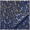 Furla Foulard in Seta, 90x90 cm, Motivo Geometrico, Toni Mediterraneo, Made in Italy