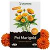 Grounding Maxi - Semi di Calendula mix arancio e giallo, 2500+ semi, altezza 30 cm. La Calendula officinalis è perfetta per balconi, aiuole e bordure - Semina facile - Qualità Europea