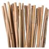 Suinga Set di 50 Tutori in Bambù per Piante 100 cm (8-10 mm) - Canne di Bambù, Supporti per Ortaggi, Pomodori, Alberi e Giardinaggio