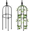 Generic Traliccio per piante rampicanti da giardino, supporto per piante rampicanti, resistente, leggero, traliccio per piante rampicanti, supporto per clematidi, gelsomino e piselli dolci