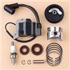 SAANICH 35mm Pistone Anelli Bobina di Accensione Albero A Camme Puleggia Paraolio Kit Fit for GX25 25cc Motore a 4 Tempi Mini Trimmer Decespugliatore