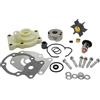 AYZLGAA for Motore fuoribordo Johnson Evinrude 20 25 30 35 HP 0390344 393659 393630 Kit di ricostruzione girante Pompa Acqua con termostato 143 ° F