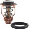 DBWOZER 67F-12411 Termostato fuoribordo per Yamaha 4 Tempi 80 100 150 200 225 250HP F80 F100 F150 F200 F225 F250 6CB-12411 per Motori marini