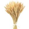 Yukiyi 100 Pezzi 40cm spighe di grano decorative Casa Fascio Da Vere Naturali fiori di grano secco erba mazzo fascio di fiori artificiali secchi puleggia per camino, casa, chiesa, tavolo matrimonio