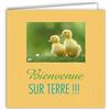 Afie MOTS-006 Biglietto di nascita per bambini congratulazioni Benvenuti sulla Terra Pulcino Anatroccolo con busta quadrata formato 15x15cm - Citazione illustrata Foto di Art Collection Parole in immagine