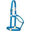 Weaver Equine Weaver Leather Cavezza per Cavallo in Nylon Non Regolabile, Colore Blu uragano
