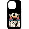 Persian Cat Lover Owner Custodia per iPhone 15 Pro Solo un altro divertente amante dei gatti persiani