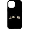 APezzaniWear | Cultural Graphic Concept Custodia per iPhone 12 Pro Max Jambalaya | Espressione Tipografica Distinta
