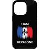 France Team Hexagone Drapeau Blau Blanc Custodia per iPhone 13 Pro France Team Hexagone Sport Bandiera Blau Bianco Rosso Giglio