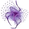 Healeved Fascinator Vintage con Rete e Copricapo per Halloween e Cerimonie Accessorio per Cosplay e Matrimonio