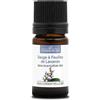 La Compagnie des Sens SALVIA A FOGLIE DI LAVANDA (Salvia lavandulifolia) BIO - 5mL - Olio Essenziale - 100% Puro, Naturale, Chemiotipizzato e Integrale