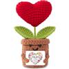 Aruigu Vaso da fiori a forma di cuore lavorato a mano all'uncinetto con biglietto, per festa della mamma da figlio, figlia, bambini, decorazione lavorata a maglia