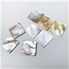 SMTCM 60 Pezzi Perla di Madreperla Naturale Bianca Muschelperlen da Cozza d'Acqua Dolce Scaglie di Cozza Quadrate Piatti Charms di Cozza per Mosaico Madreperla Sciolte per Fai da Te Artigianato