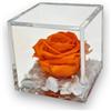 Passionefiori.it Premium-Rose Cubo Rosa Stabilizzata 10cm Vera in Cubo più Spesso, Con Marmo di Carrara, Cubo Rosa stabilizzata, Rosa eterna, Idea Regalo per lei, Natale (Arancione, 10cm)