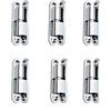 Eruceky 6 Pezzi Cerniere Rimovibili in Acciaio Inox per Ante Legno, Porte Interne, Cancello, Scatola Del Trasformatore (Sbarra, Argento)