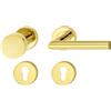 JUVA Maniglia di design in acciaio inox per porta su rosetta tonda per porte di camere - LDH 2171 | Set intercambiabile DIN SINISTRA | Ottone rivestito in PVD | 1 Set