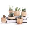 SUN-E 6 In Set da 7.6 cm in ceramica Grano di legno Succulente Vaso da fiori di cactus Vaso da fiori Vaso di fiori contenitore Planter regalo Idea
