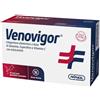 CERES PHARMA ITALY Srl Amnol Venovigor 20 Stick Pack Orosolubili