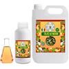Generico GSW© Olio di NEEM per Piante Biologico Olio di Neem Solubile Ottimo su Orto, Prato e Giardino, 100% Naturale No OGM Atossico per Piante, Animali, Persone, Ambiente (5 Litri)