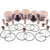 MIGHTY SCAPERS Piston Ring Bearing Kit 50mm per la riparazione del motore Chainsaw Compatibile con 372XP 373 365 X-TORQ