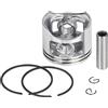 SAANICH Kit pistone motosega da 45 mm Kit pistone cilindro Kit anello pin adatto for kit pistone pezzi di ricambio motosega 5800 58CC
