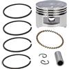 SAANICH Motosega 39mm Pistone Kit Fit for GX35 GX 35 GX35NT HHT35S UMK35 Motore A Benzina Motore a 4 Tempi Decespugliatore Trimmer Strimmer