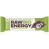 Bombus RAW ENERGY BIO barretta di cocco al cacao (senza glutine) 50 g Bombus