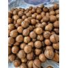 Generico Noci Macadamia In Guscio Al Caffè 1Kg Frutta Secca Aromatizzata Snack Gourmet Croccante Tostato Premium Con Guscio Inciso Ideale Per Aperitivi Relax E Regalo Gourmet