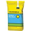 Barenbrug - sementi RESILIENT BLUE MUDA - 5 kg