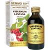 DR.GIORGINI SER-VIS Srl VIBURNO LIQ ANALCOLICO 100ML