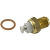 RMS Termistore RMS Malaguti F12/F15