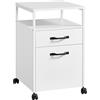 VASAGLE Schedario con 2 Cassetti, Mobile per Ufficio con Ruote, Ripiano Aperto, Struttura in Acciaio, Stile Industriale, Bianco Nuvola OFC071W14