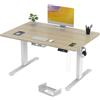 TRIUMPHKEY Scrivania Elettrica Regolabile in Altezza 120 x 80cm,3 Memoria,con Porta di Ricarica USB, Elettrica per Computer, Scrivania per Sedersi in Piedi, Beige