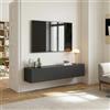 [en.casa] Mobile da Parete Porta TV con 2 Scomparti Chiusi Ante a Ribalta Pensile Multiuso Armadio Sospeso a Muro 160 x 32 x 30 cm - Grigio Scuro Opaco