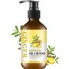 BSMKCL Shampoo per capelli allo zenzero, shampoo naturale anti-forfora allo zenzero per la pulizia della perdita dei capelli, idratante, controllo crespo per rafforzare i capelli, per tutti i tipi di