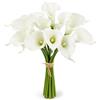 GIVBRO Calla artificiali, fiori artificiali, decorazione per matrimoni, feste, bouquet, lattice, sembrano veri, 34 cm, 10 pezzi