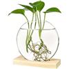 Generic Vaso rotondo in vetro, vaso per piante in vetro trasparente con supporto in legno, contenitore per piante idroponiche, portaoggetti per ornamenti domestici (Naturale)