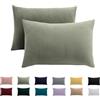 Beqnat Set di 2 federe 70 x 90 cm, colore verde salvia, per cuscini in 100% microfibra, non necessita di stiratura e senza pieghe con chiusura lampo