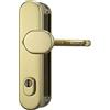 Abus HLZS814 MS, Placca protettiva con maniglia e serratura a cilindro, 12245