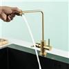 XDSMB Rubinetto Depuratore Acqua 2 Vie Rotazione a 360° Doppia Maniglia Rubinetto Lavello Cucina Acqua Fredda Singolo Foro,Oro Spazzolato
