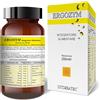 CITOZEATEC SRL ERGOZYM 250ML