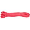 Rcniso Fascia Elastica per Trazioni di Resistenza, Fasce Elastiche per Esercizi e Fitness, Durevoli e Portatili per L'allenamento della Forza, Adatte per il Fitness Sportivo e L'assistenza Allo