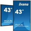 Iiyama Monitor Digital Signage Led 42.5" Iiyama ProLite Ultra HD 3840x2160/8ms/classe G [LH4341UHS-B2]