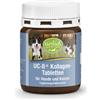Kräuterhaus Sanct Bernhard tierlieb Compresse al collagene UC-II®"